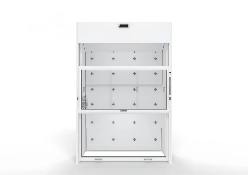 Walk-In Fume Hood