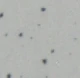 speckled gray